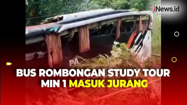 Bus Rombongan Study Tour Siswa dan Guru MIN 1 Pesisir Barat