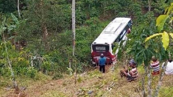 Pandangan Terhalang Kabut, Bus Mercy Golden Dragon Terjun ke Jurang di Lampung Barat