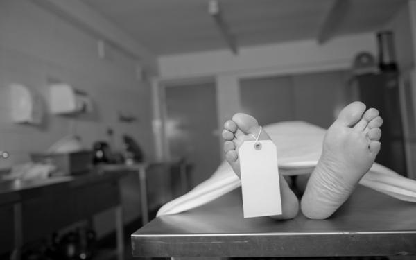 Tragis, Petugas PLN di Pesisir Barat Tewas Tersetrum di Tiang Listrik